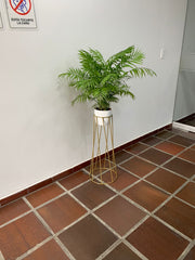 Cuarzo Con Matero Plastico