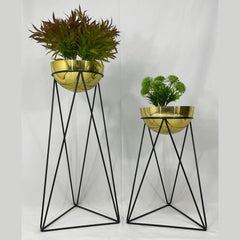 Set amazonia con Media Esferas de Aluminio