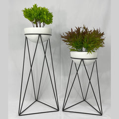 Set amazonia con Media Esferas de Aluminio