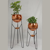 Set Ambar con Esferas de Aluminio