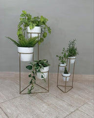 Onix con Materos Plasticos