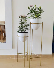 Set Silex con Huevos de Aluminio