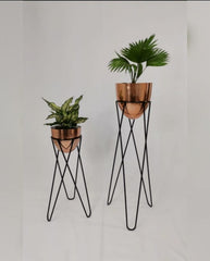 Set Cornalina con Huevos de Aluminio