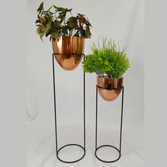 Set Larimar con Huevos de Aluminio