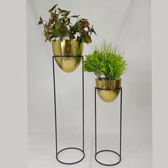 Set Larimar con Huevos de Aluminio