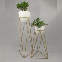 Set amazonia con Huevos de Aluminio