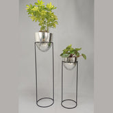 Set Larimar con Huevos de Aluminio