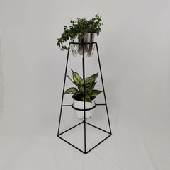 Calcedonia con Materos plasticos