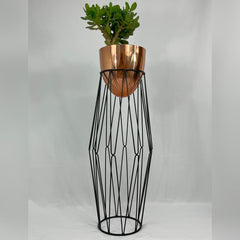 Coral Con Huevo de Aluminio