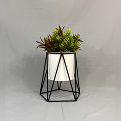 Agata Pequeña con Cilindro