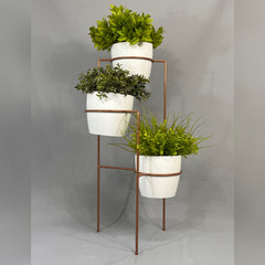 Aguamarina con Materos plasticos