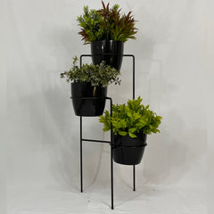 Aguamarina con Materos plasticos