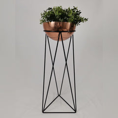 Amazonia con Media Esfera de Aluminio