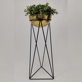 Amazonia con Media Esfera de Aluminio