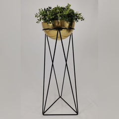 Amazonia con Media Esfera de Aluminio