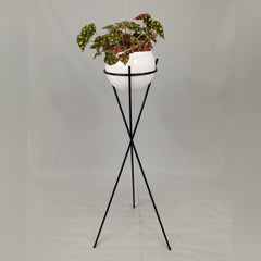 Aventurina Con Esfera pequeña