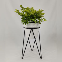 Axinita con Matero Clasico de Plastico