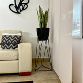 Base Amazonia con Matero grande