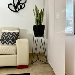 Base Amazonia con Matero grande