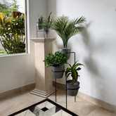 Combo Aguamarina con Materos plasticos