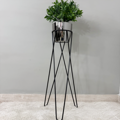 Base Cornalina con Matero