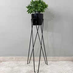 Base Cornalina con Matero