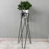 Base Cornalina con Matero