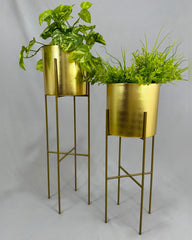 Set Turquesa Dorado con Cilindros de Plastico