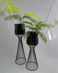 Set Turmalina con Cilindros de Plastico