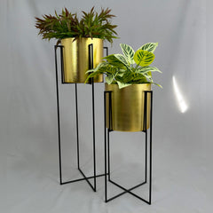 Set Reina con Cilindros Plasticos Metalizados