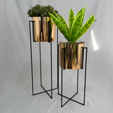 Set Reina con Cilindros Plasticos Metalizados