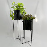 Set Reina con Cilindros Plasticos