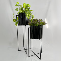 Set Reina con Cilindros Plasticos