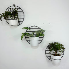 Trio de Pared Aguamarina con 3 Materos Plasticos