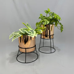 Soportes para Cilindro de Plastico Metalizados