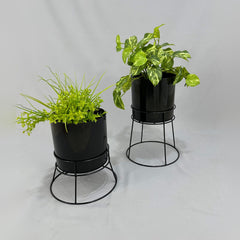 Soportes Ross con Cilindro de Plastico