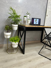 Combo Padreperla de Piso y Mini con Materos