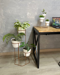 Combo Padreperla de Piso y Mini con Materos