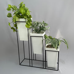 Titanic Triple con Materos Cuadrados Bicolor