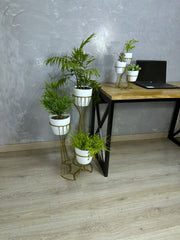 Combo Turmalina de Piso y Mini con Materos