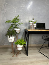 Combo Turmalina de Piso y Mini con Materos