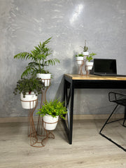 Combo Turmalina de Piso y Mini con Materos