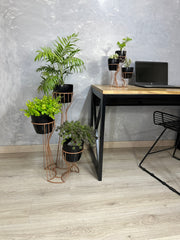 Combo Turmalina de Piso y Mini con Materos