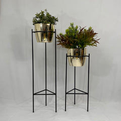 Set Silex con Materos plasticos