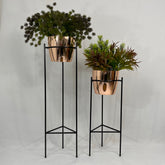 Set Silex con Materos plasticos