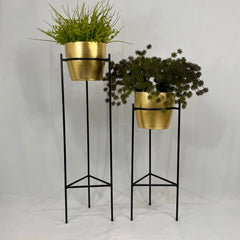 Set Silex con Materos plasticos