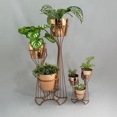 Combo Turmalina con Materos Tipo Metalizado