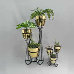 Combo Turmalina con Materos Tipo Metalizado