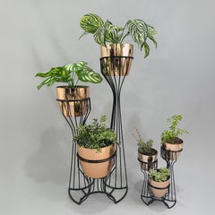 Combo Turmalina con Materos Tipo Metalizado