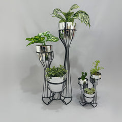 Combo Turmalina con Materos Tipo Metalizado